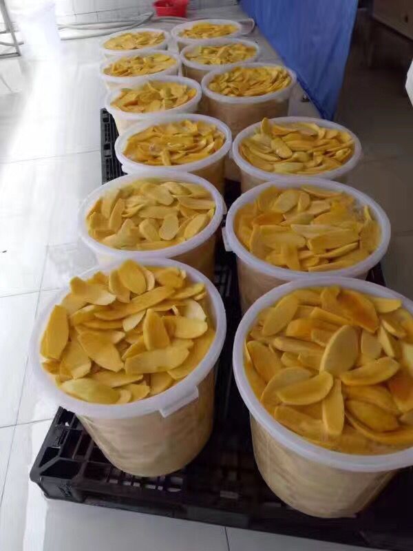 廠家直銷進口風(fēng)味芒果干量大從優(yōu)