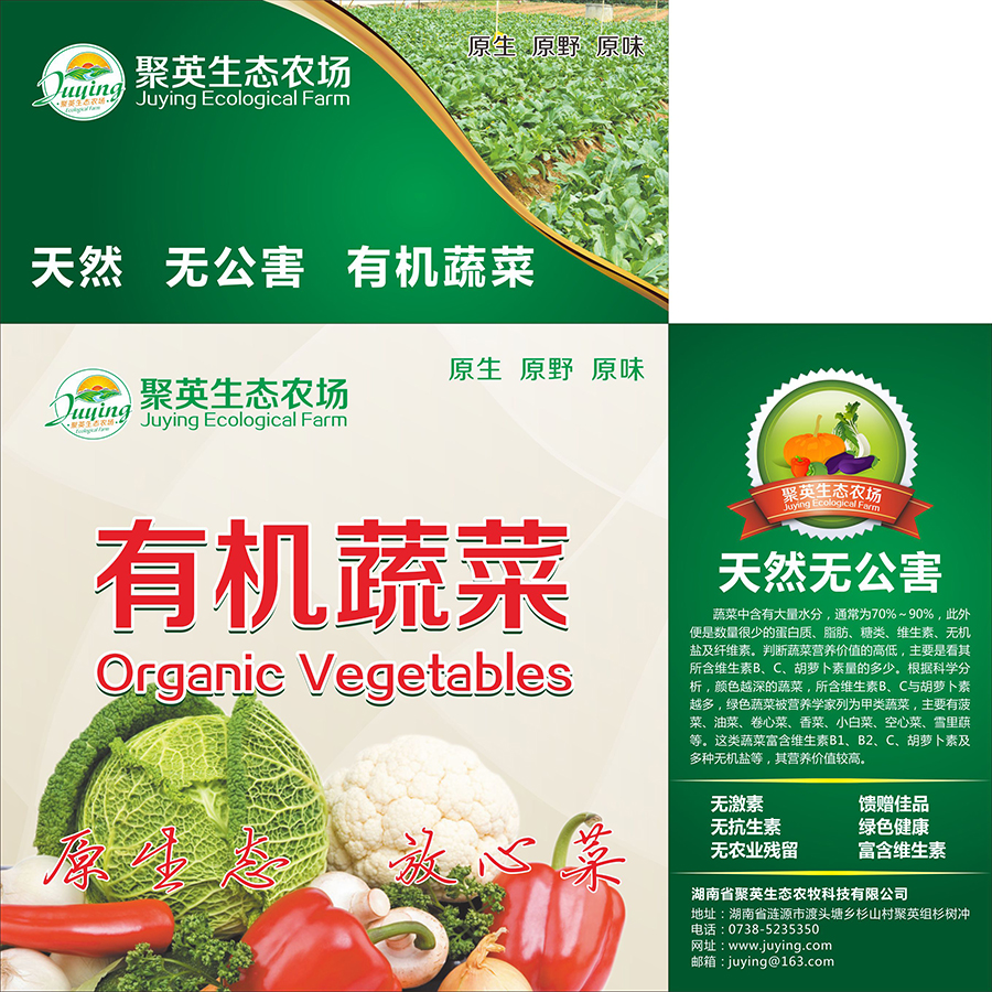 平面設計，畫冊設計，標志設計，V 畫冊設計，標志設計，包裝設計