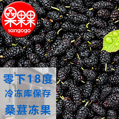 桑葚凍果攀西速凍桑椹冷凍黑桑葚廠家*批發(fā)