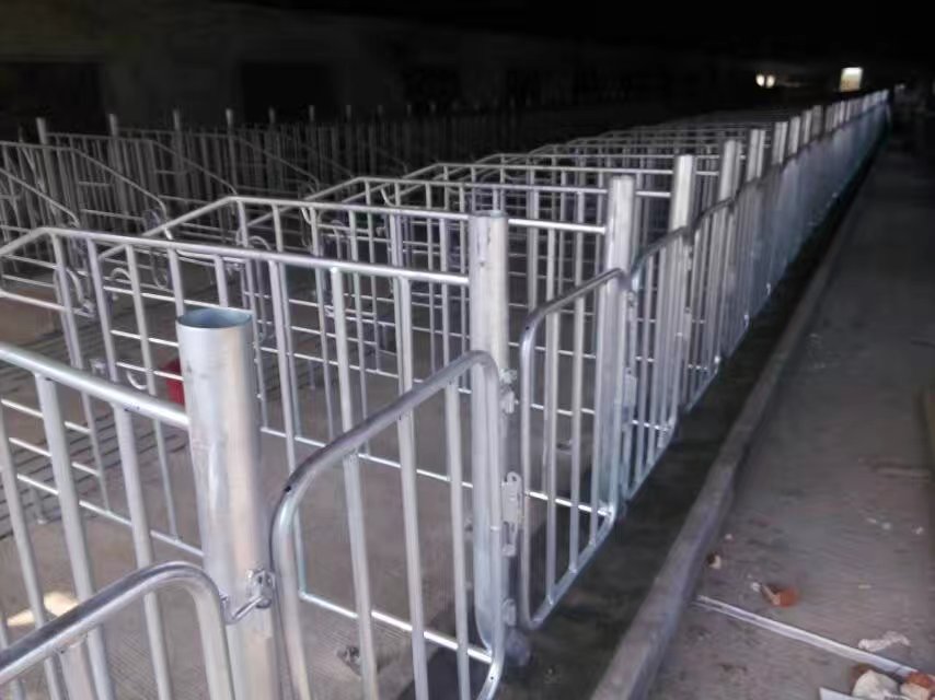 利祥農(nóng)牧供應(yīng)養(yǎng)豬設(shè)備 母豬復(fù)合漏糞板定位欄