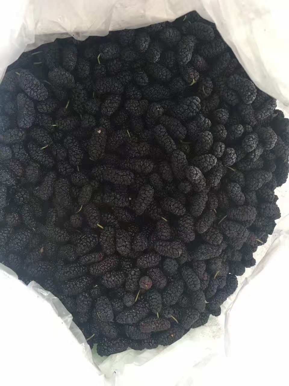 桑葚凍果攀西速凍桑椹冷凍黑桑葚廠家*批發(fā)