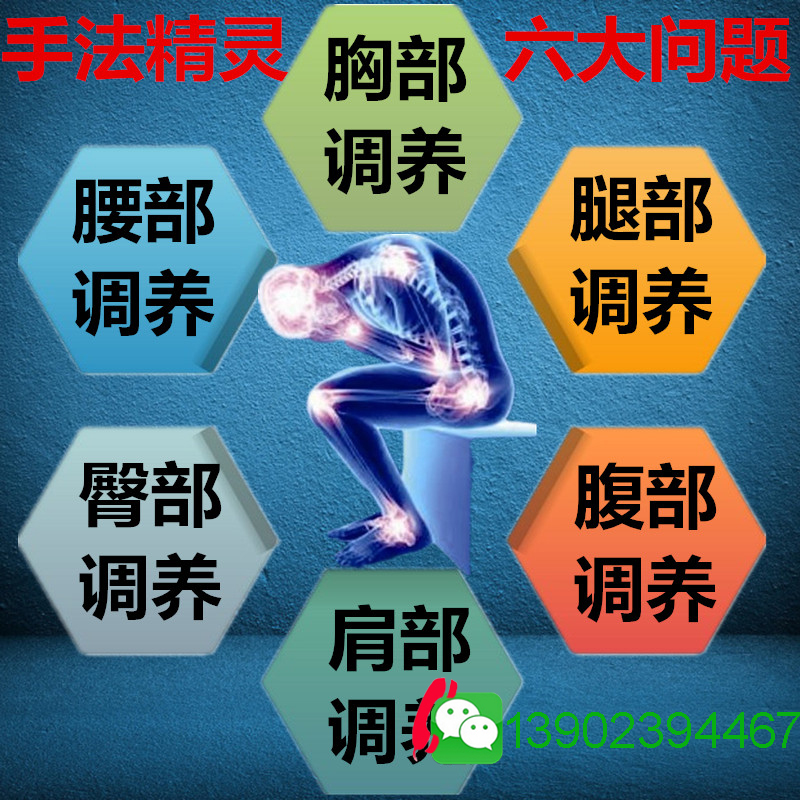 生命密碼操盤手經(jīng)絡(luò)理療儀