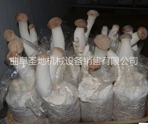 批量生產(chǎn)食用菌裝袋設(shè)備價格不銹鋼料筒裝袋機(jī)  食用菌裝袋設(shè)備價格