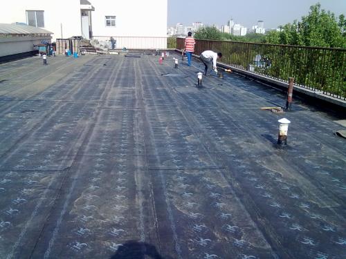 清遠樓頂防水清遠樓頂防水價格清遠樓頂防水公司清遠樓頂防水多少錢