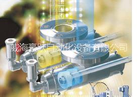 威海豪躍專業(yè)生產(chǎn)耐磨計(jì)量泵