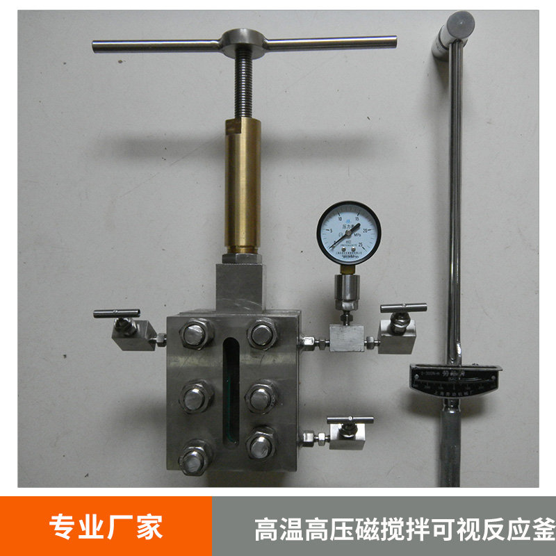 直銷FCF系列0.1-25高壓反應(yīng)釜實驗高溫高壓磁攪拌可視反應(yīng)釜