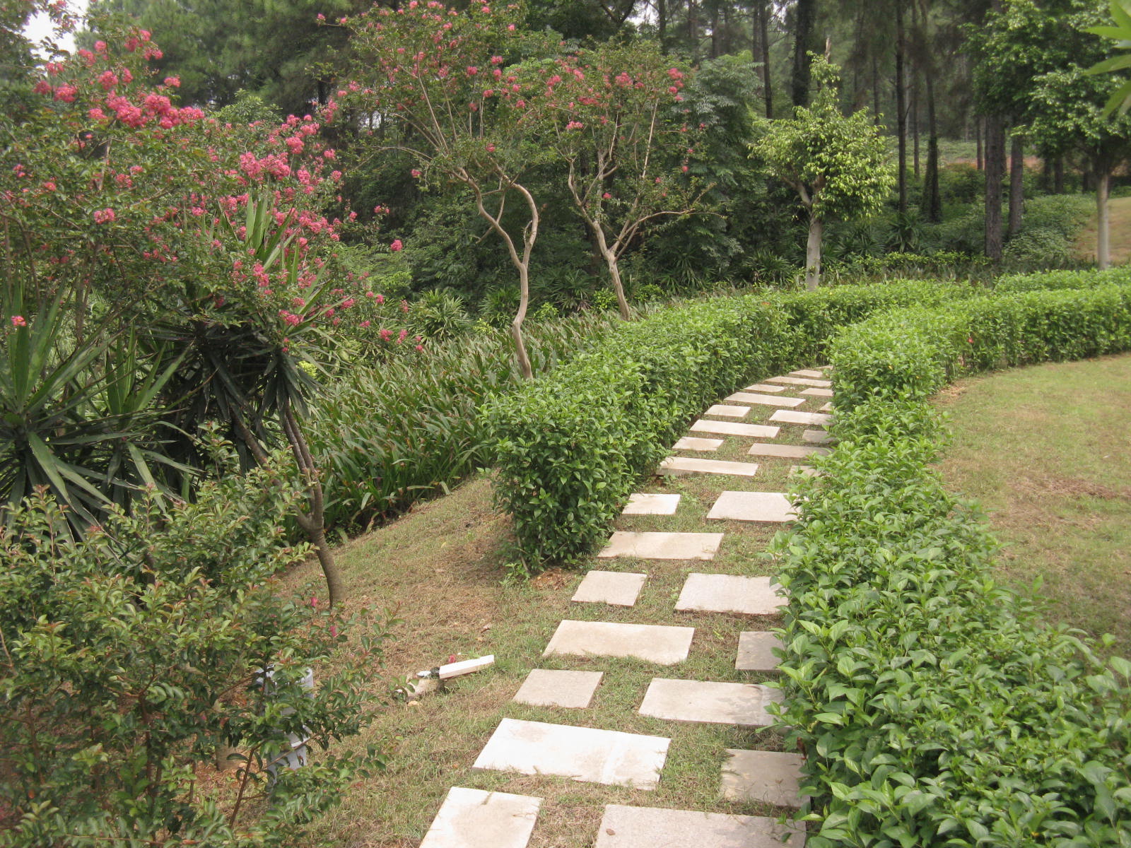 小區(qū) 公寓 酒店景觀設(shè)計(jì) 綠化植物種植設(shè)計(jì) 草坪草的種植及養(yǎng)護(hù) 景觀設(shè)計(jì) 植物種植 草坪養(yǎng)護(hù)