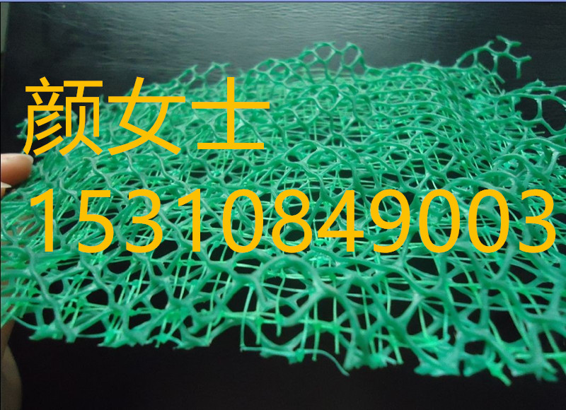 云南廠家直銷三維植被網(wǎng) 公路 鐵路土工網(wǎng)墊