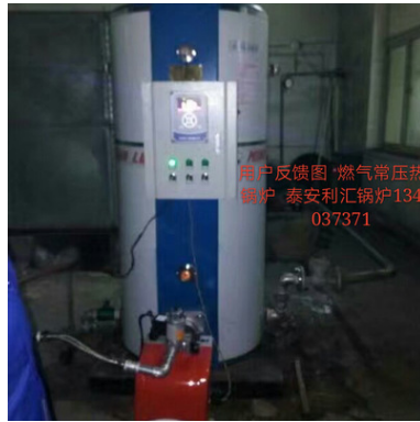 新型立式燃?xì)?燃油 環(huán)保節(jié)能除塵燃煤鍋爐 廠家直銷(xiāo) 適用廣泛 新型立式燃?xì)馊加湾仩t 泰安新型立式燃?xì)馊加湾仩t廠家