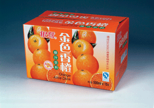 【迪賽特】高防滑水性上光油DS2018A