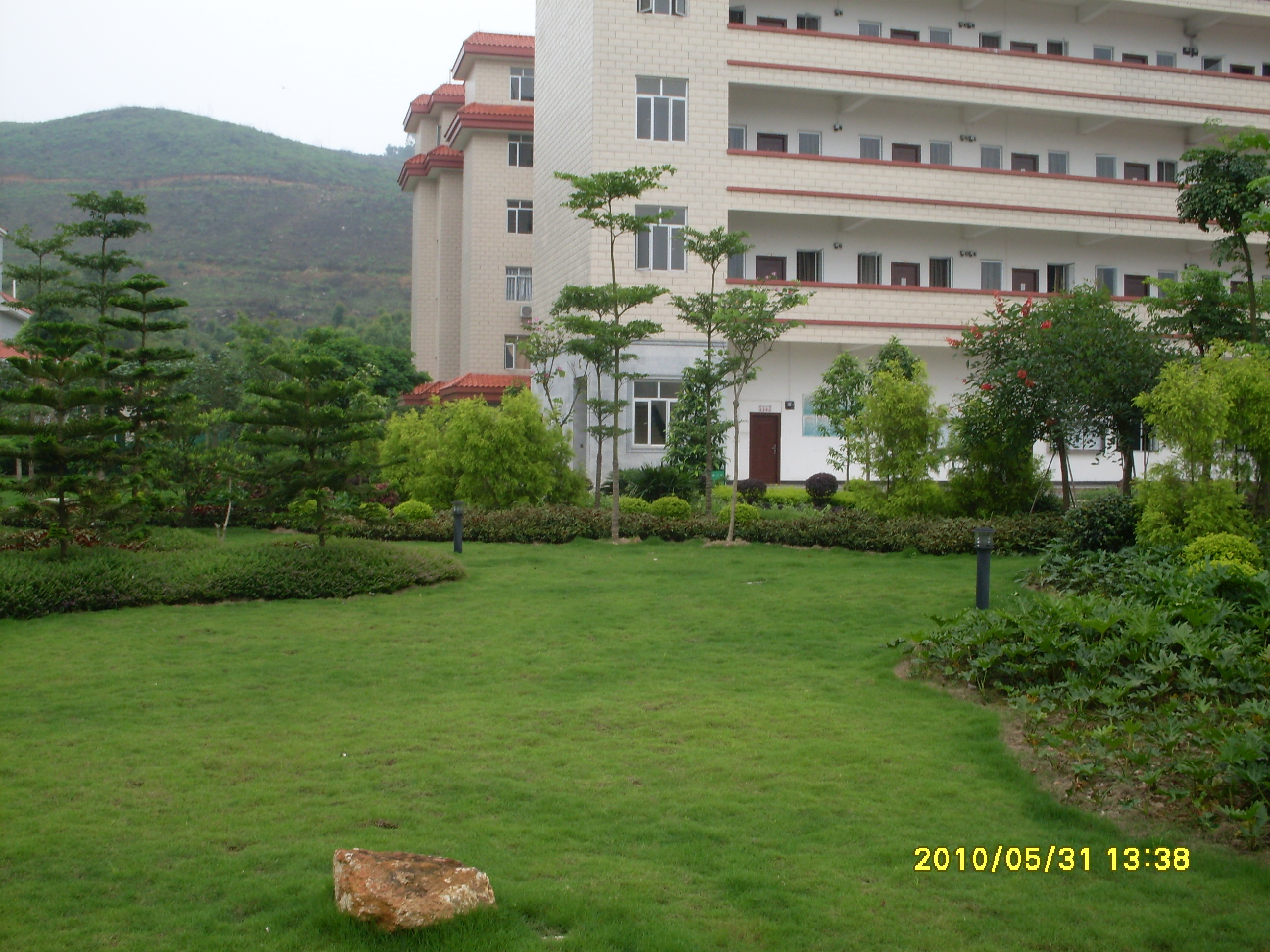 庭院綠化 *景觀綠化 小區(qū)園林景觀設計 植物種植綠化與養(yǎng)護 庭院設計 植物綠化 *設計