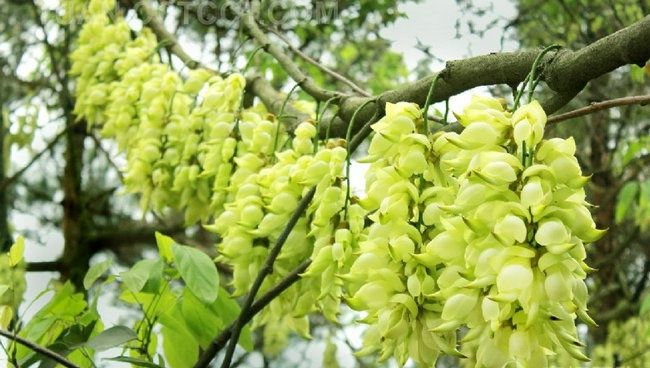 庭院設(shè)計(jì) 花園規(guī)劃 花架建造 花架搭建 院子設(shè)計(jì) 小院子改造 花架設(shè)計(jì) 花園綠化 庭院綠化
