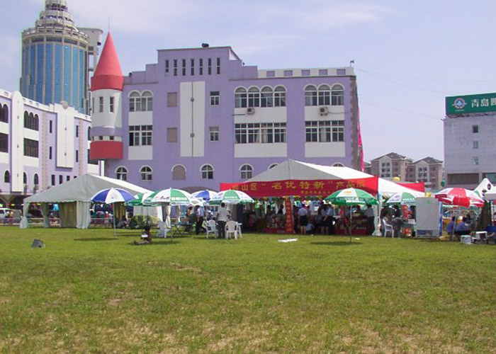 綜合節(jié)日篷房工廠