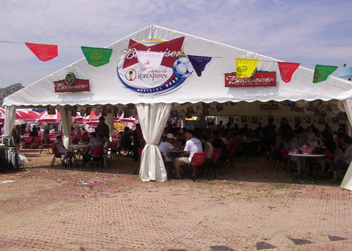 綜合節(jié)日篷房工廠