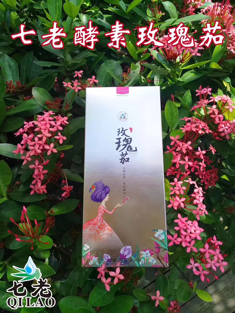 七老玫瑰笳可以*補血嗎？怎么賣？七老護膚品代理七老總經(jīng)銷燕子