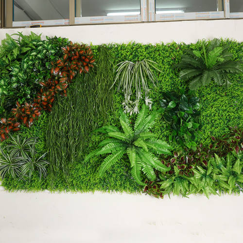 植物墻 墻壁綠化 植物造型 生態(tài)綠墻 立體綠化 專業(yè)打造背景墻 綠化墻體 植物綠墻 生態(tài)植物墻