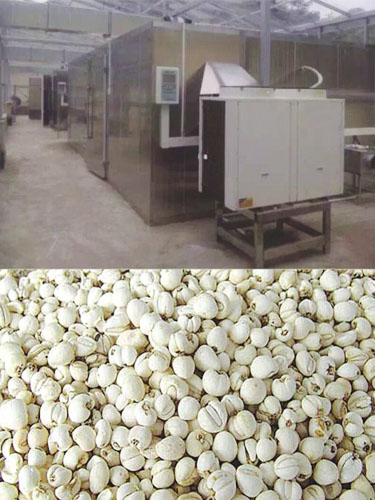 合派空氣能熱泵烘干機(jī)組，工業(yè)烘干之選！