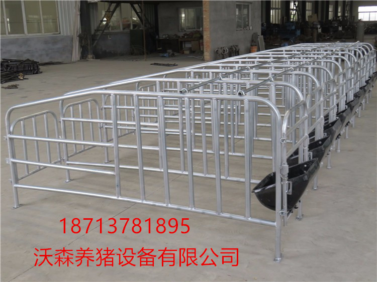 母豬定位欄 限位欄 養(yǎng)豬設(shè)備