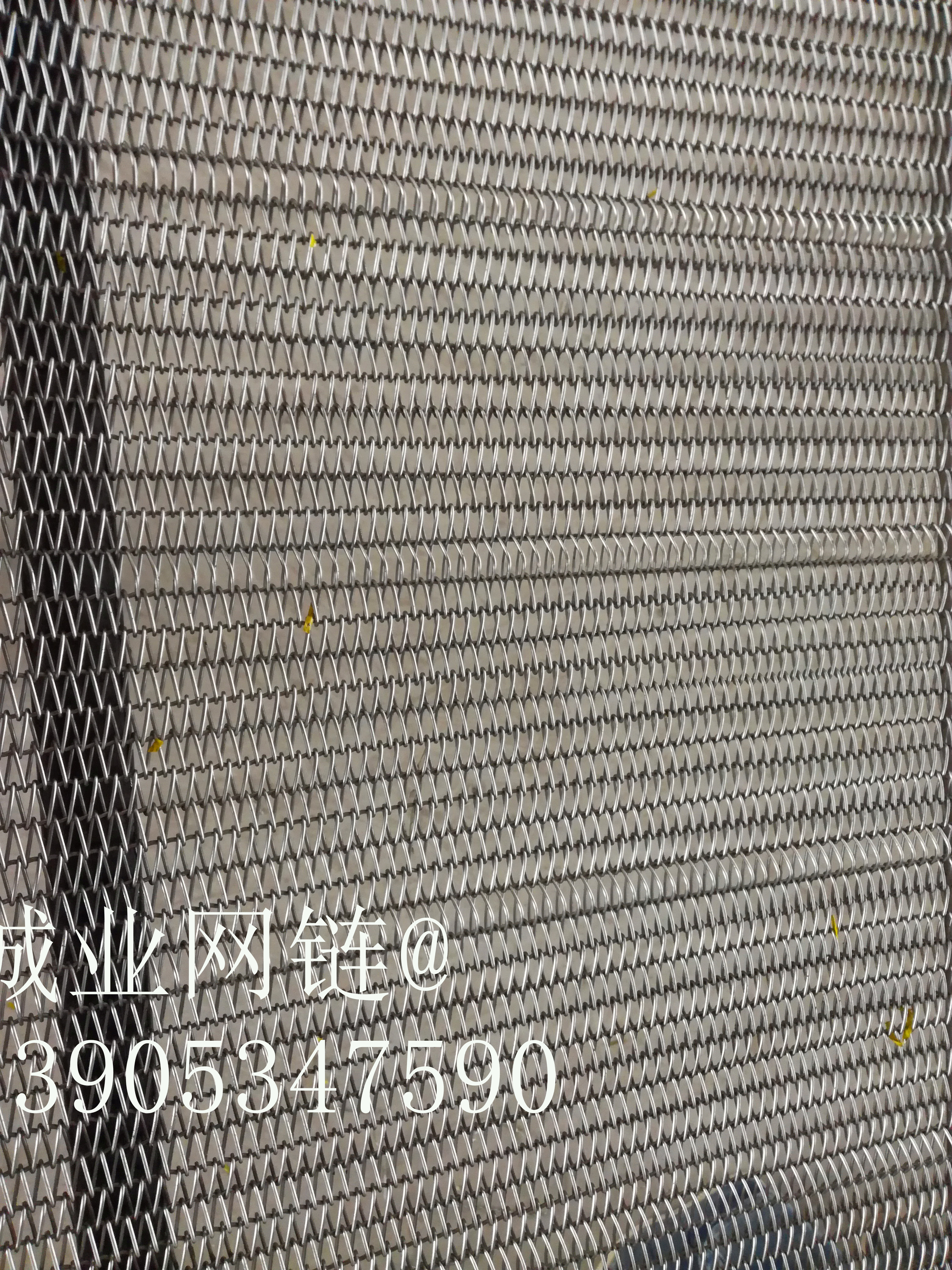 廠家直銷 輸送網(wǎng)帶 不銹鋼網(wǎng)帶