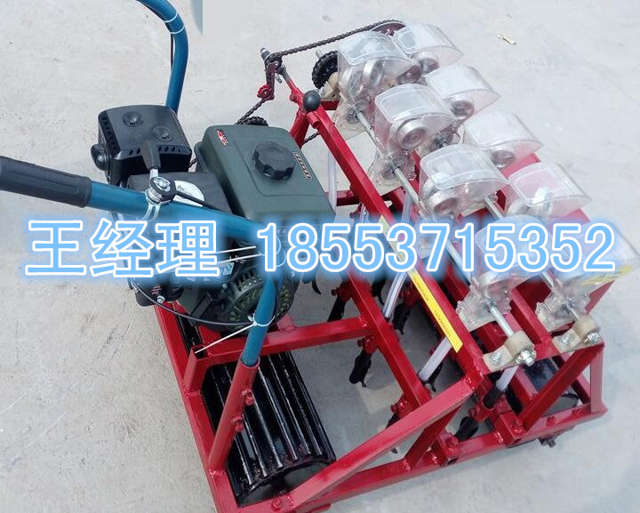 蔬菜播種機(jī)  四川 特價供應(yīng) 多功能蔬菜播種機(jī)價格