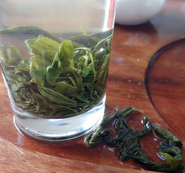 福建綠茶高山綠茶 *散裝炒青綠茶 廠家特銷*茶長期充足