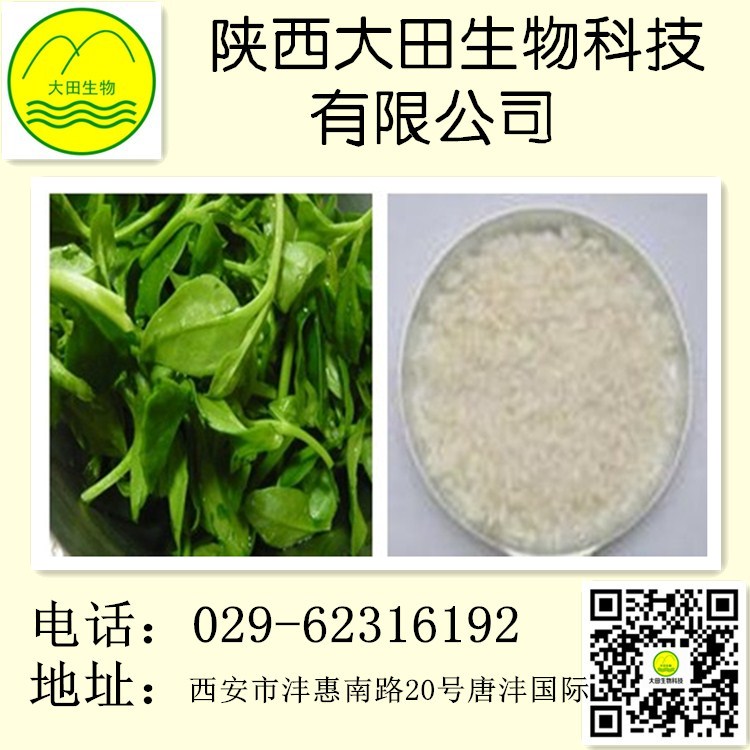供應(yīng)穿心蓮提取物98% 具有清熱，消腫止痛，抑制其生長(zhǎng)等功效