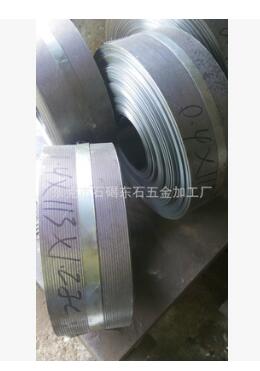【專業(yè)廠家】東莞廠家供應(yīng)不銹鋼過濾網(wǎng) 沖孔網(wǎng) 金屬喇叭網(wǎng)批發(fā)