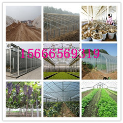日光溫室大棚