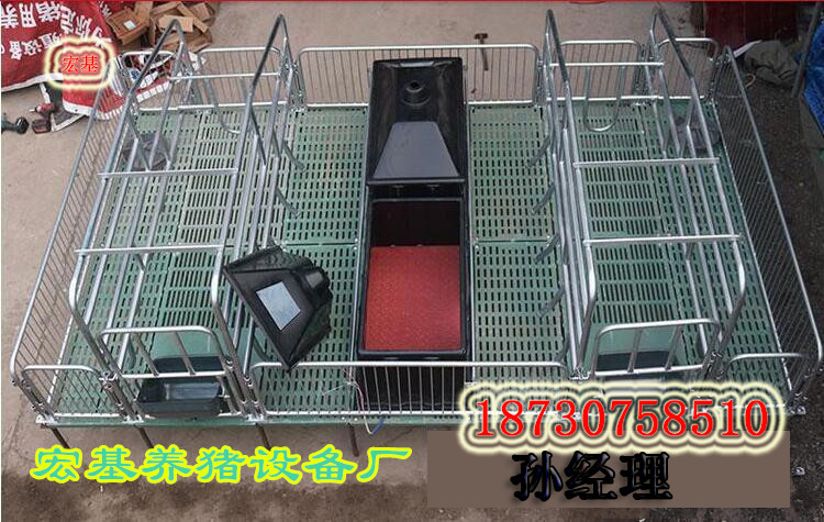 復合母豬產(chǎn)床一套的價格是多少 雙體豬產(chǎn)床專業(yè)生產(chǎn)廠家泊頭宏基