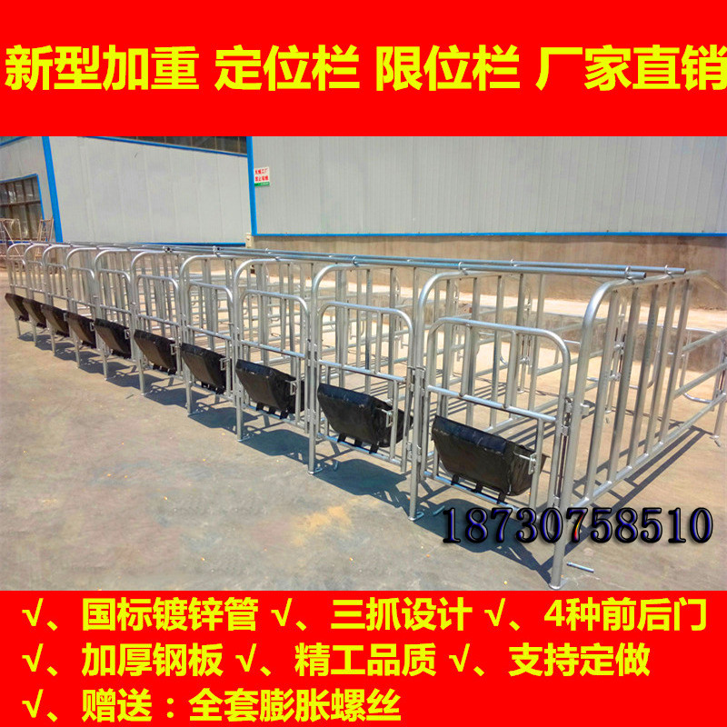 優(yōu)質(zhì)的母豬限位欄尺寸的價(jià)格 帶食槽的定位欄廠家報(bào)價(jià)泊頭宏基