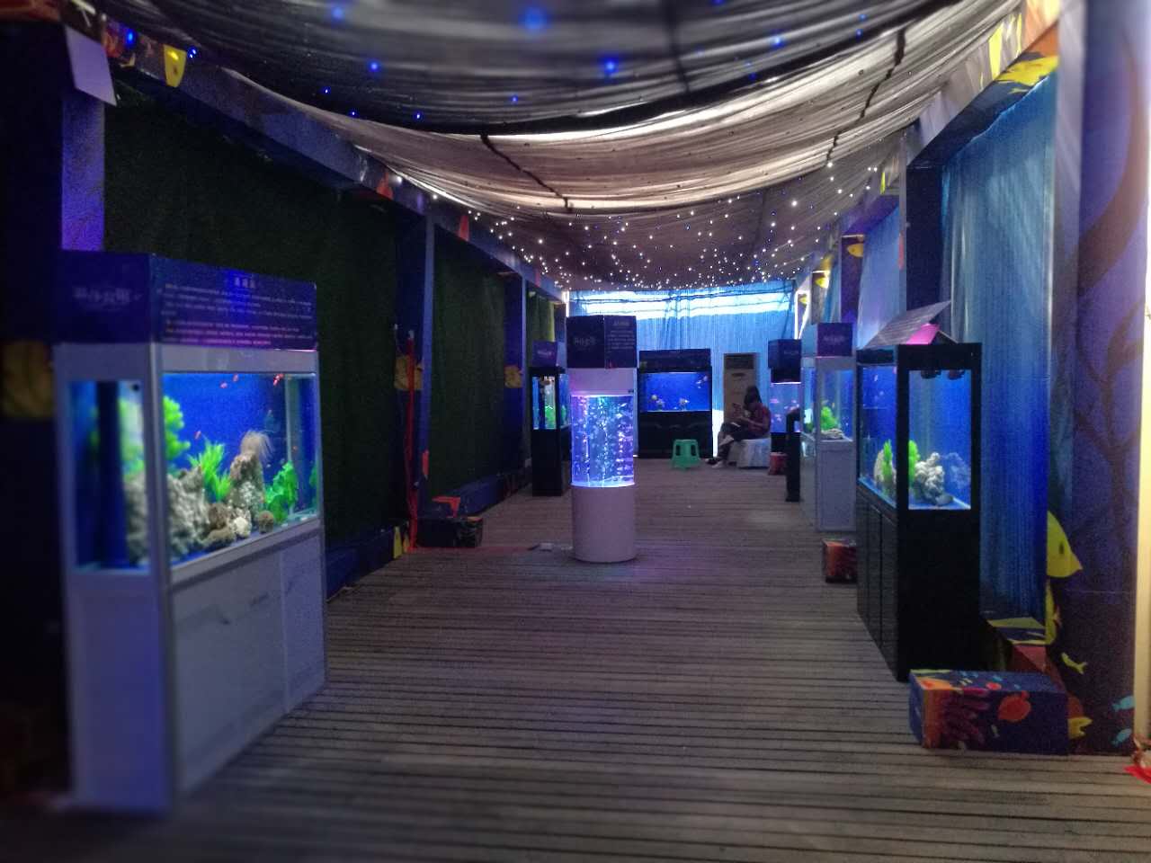 海洋生物展租賃 海洋生物批發(fā)價格公道 山東成誠海洋生物展租賃