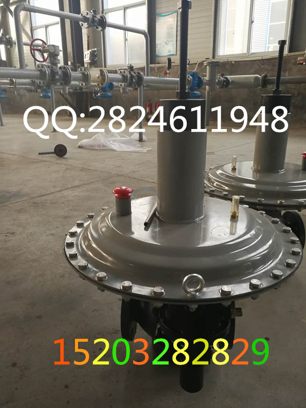 LNG燃?xì)庠O(shè)備LNG汽化調(diào)壓設(shè)備LNG撬裝設(shè)備