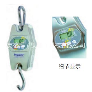 天津天秤 天津電子數(shù)顯天秤廠家，電子數(shù)顯平臺稱價格