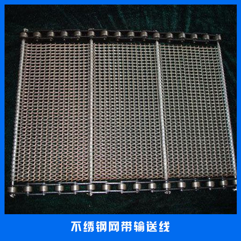廠家直銷輸送機械設備不繡鋼網帶輸送線鏈板式網帶輸送機