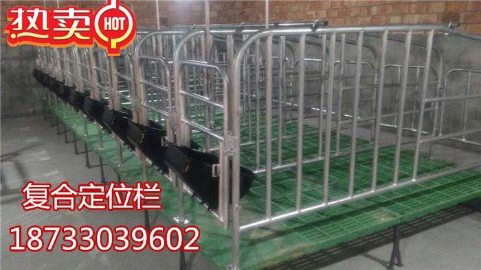 帶復(fù)合板母豬保胎定位欄河北廠家專業(yè)生產(chǎn)制作