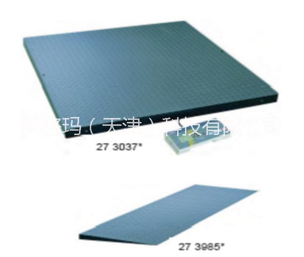 天津天秤 天津電子數(shù)顯天秤廠家，電子數(shù)顯平臺稱價格