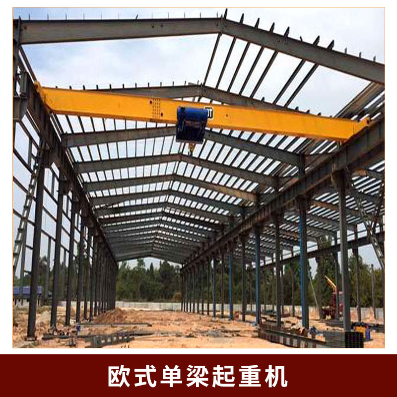 廠家直銷 歐式單梁起重機(jī) 旋臂吊、電動(dòng)單梁懸掛 品質(zhì)保障