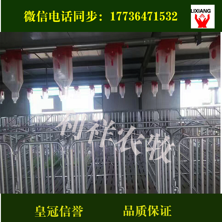 養(yǎng)殖養(yǎng)豬自動(dòng)料線利祥農(nóng)牧養(yǎng)豬設(shè)備廠專業(yè)設(shè)計(jì)生產(chǎn)