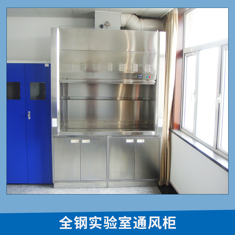 廠家直銷 全鋼通風(fēng)柜 不銹鋼實(shí)驗(yàn)室通風(fēng)櫥 全鋼實(shí)驗(yàn)室通風(fēng)柜