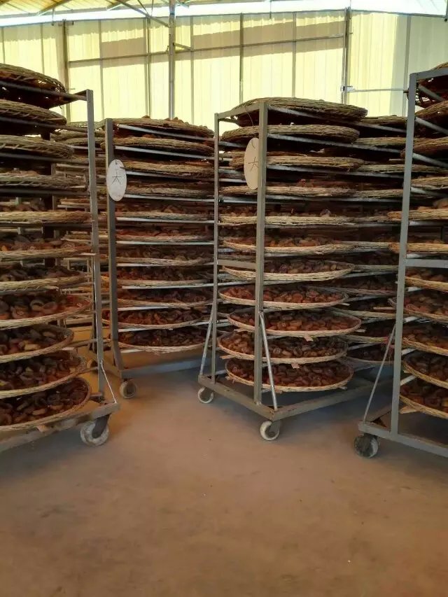 供應(yīng)柿餅烘干機(jī)哪個(gè)品牌好 就選節(jié)能的億思?xì)W熱泵烘干機(jī)