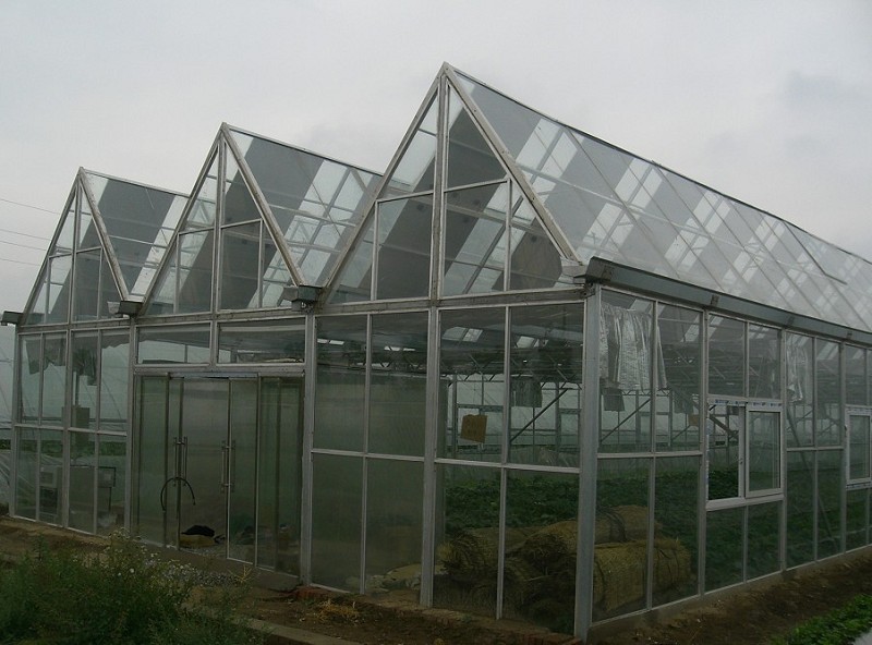 河北邯鄲*花卉種植溫室廠家