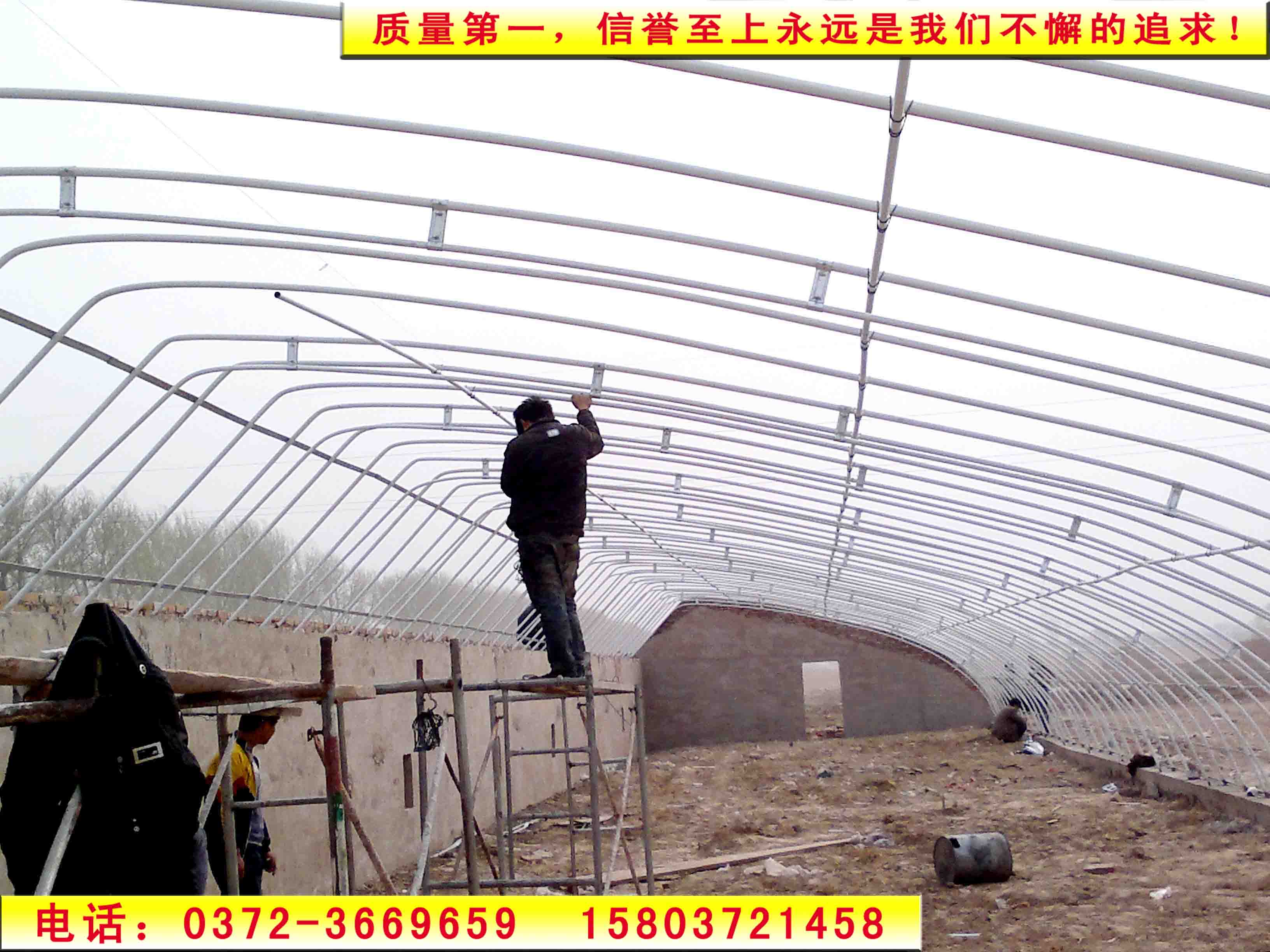 供應(yīng)日光溫室大棚 蔬菜大棚建設(shè) 農(nóng)用大棚 日光溫室大棚設(shè)計制作