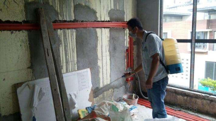 東莞沙田白蟻防治服務(wù)中心治理電話多少錢哪里有【東莞市巨威白蟻防治有限公司】