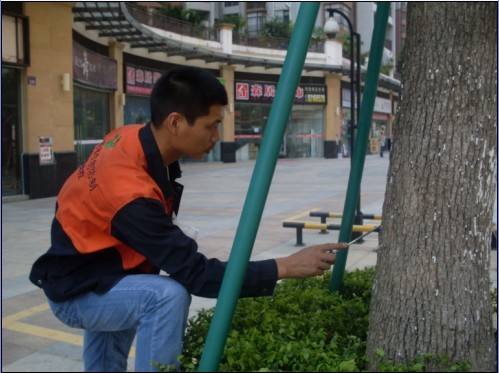 深圳專業(yè)白蟻預(yù)防公司 深圳害蟲(chóng)防治服務(wù)價(jià)格 深圳專業(yè)殺蟲(chóng)滅鼠服務(wù)電話