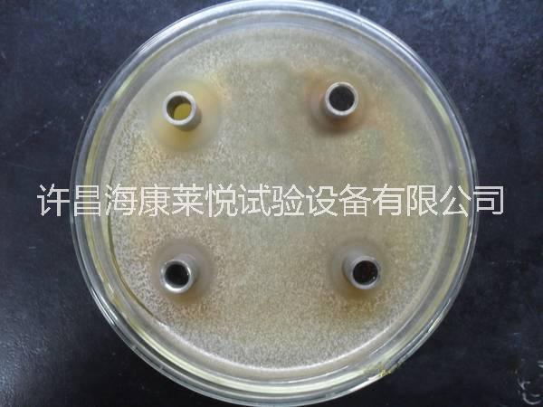 *定量培養(yǎng)皿