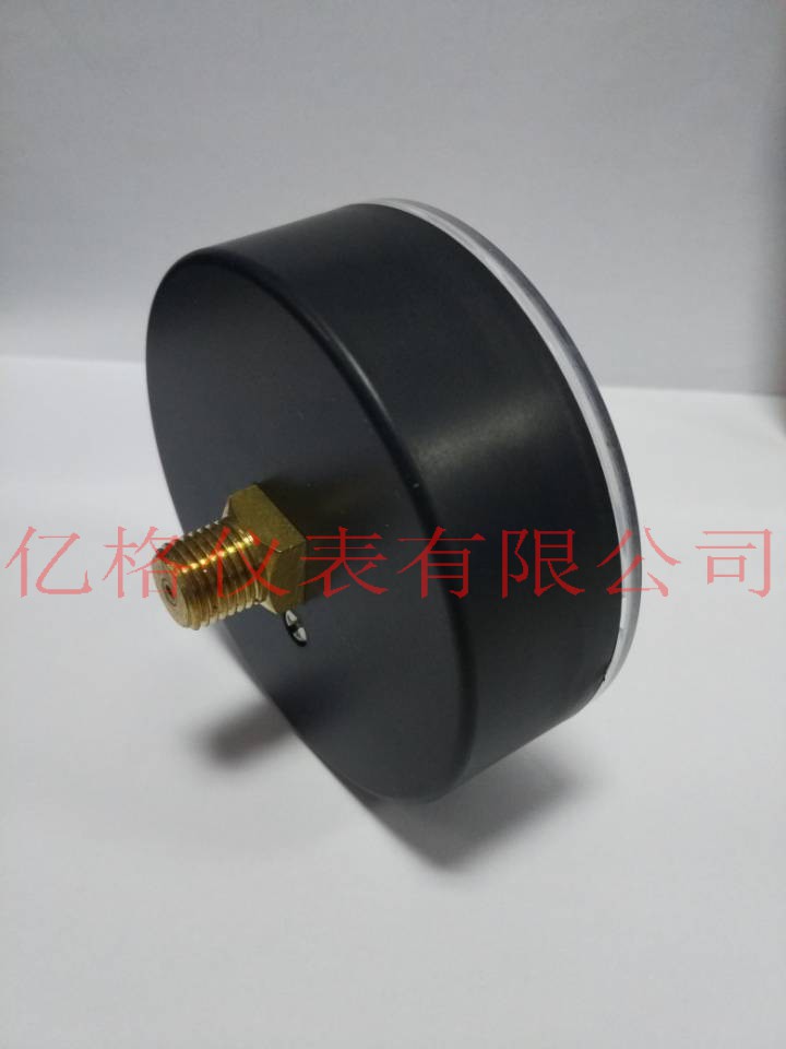 億格儀表特制80*1/2NPT接頭真空壓