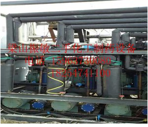 上海東富龍產(chǎn)真空冷凍干燥機直銷 冷凍干燥機