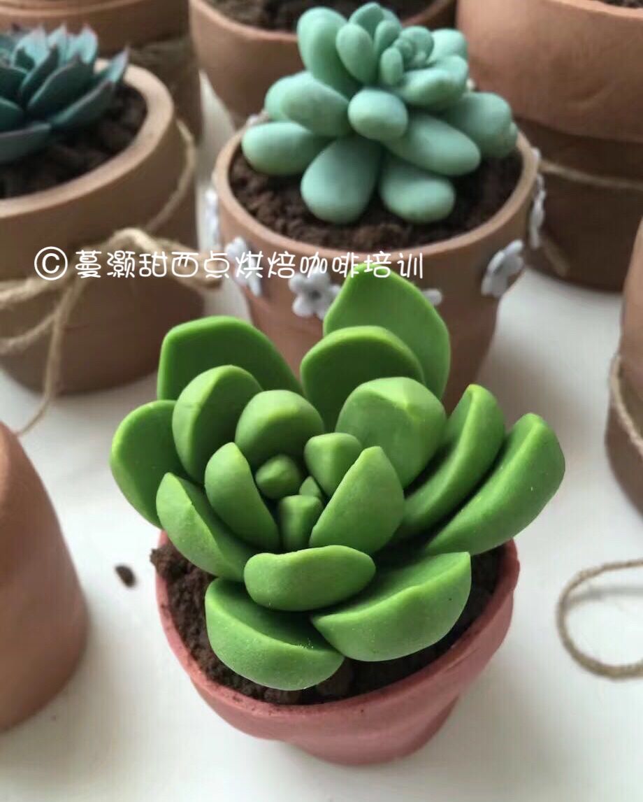 翻糖蛋糕、私家烘焙、西點(diǎn)咖啡培訓(xùn)