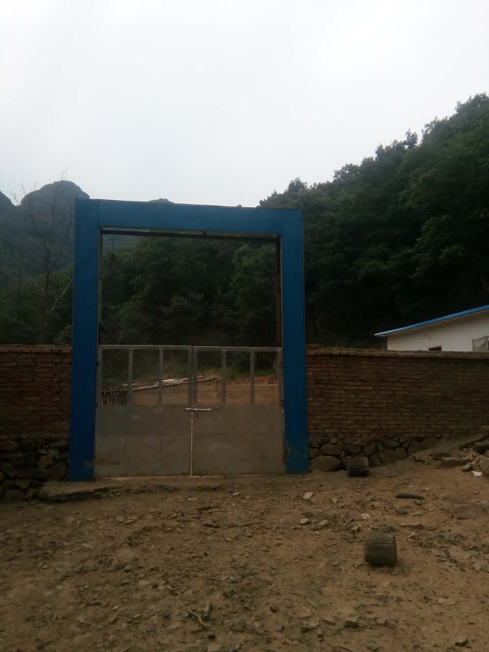 山西黑豬養(yǎng)殖銷售   黑豬批發(fā)
