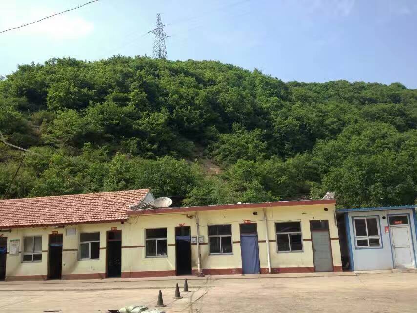 山西散養(yǎng)黑豬銷售   黑豬養(yǎng)殖批發(fā)